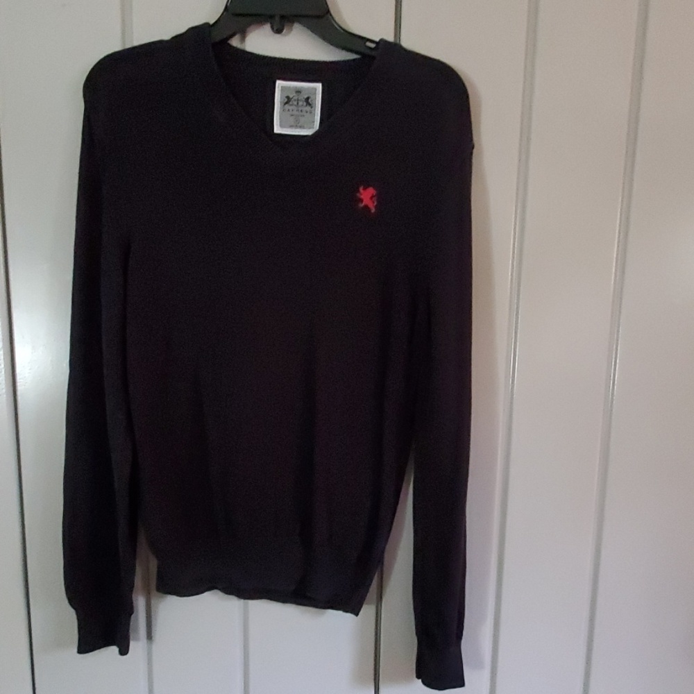 Express Mens Sweater Size Small